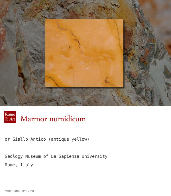 Marmor numidicum, conosciuto come Giallo Antico – Museo Geologia, Università La Sapienza, Roma